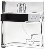 Salvatore Ferragamo F men's EDT 3.4OZ luxury perfume bottle